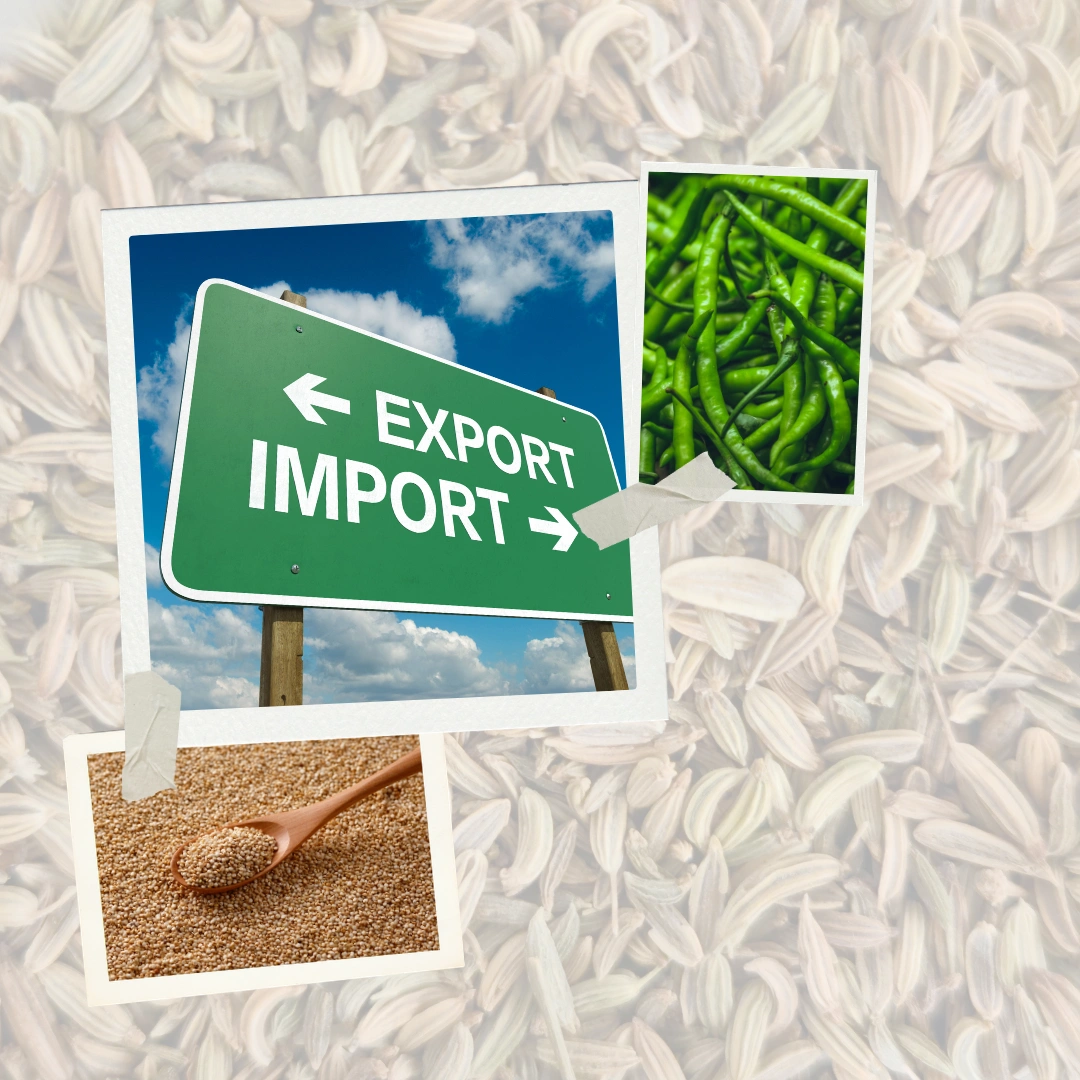 About Azinikz Global Exports