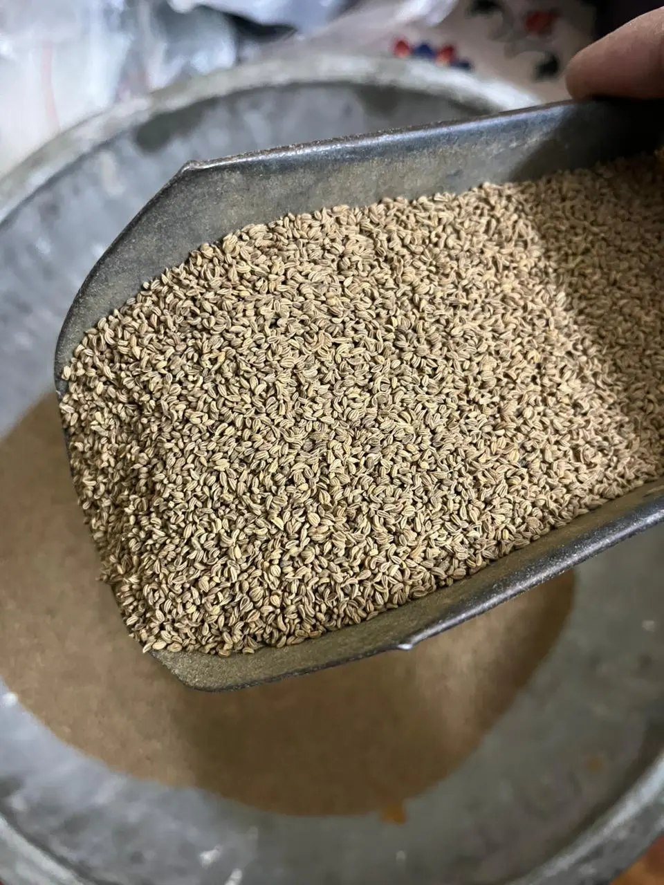 Carom Seeds (Ajwain)