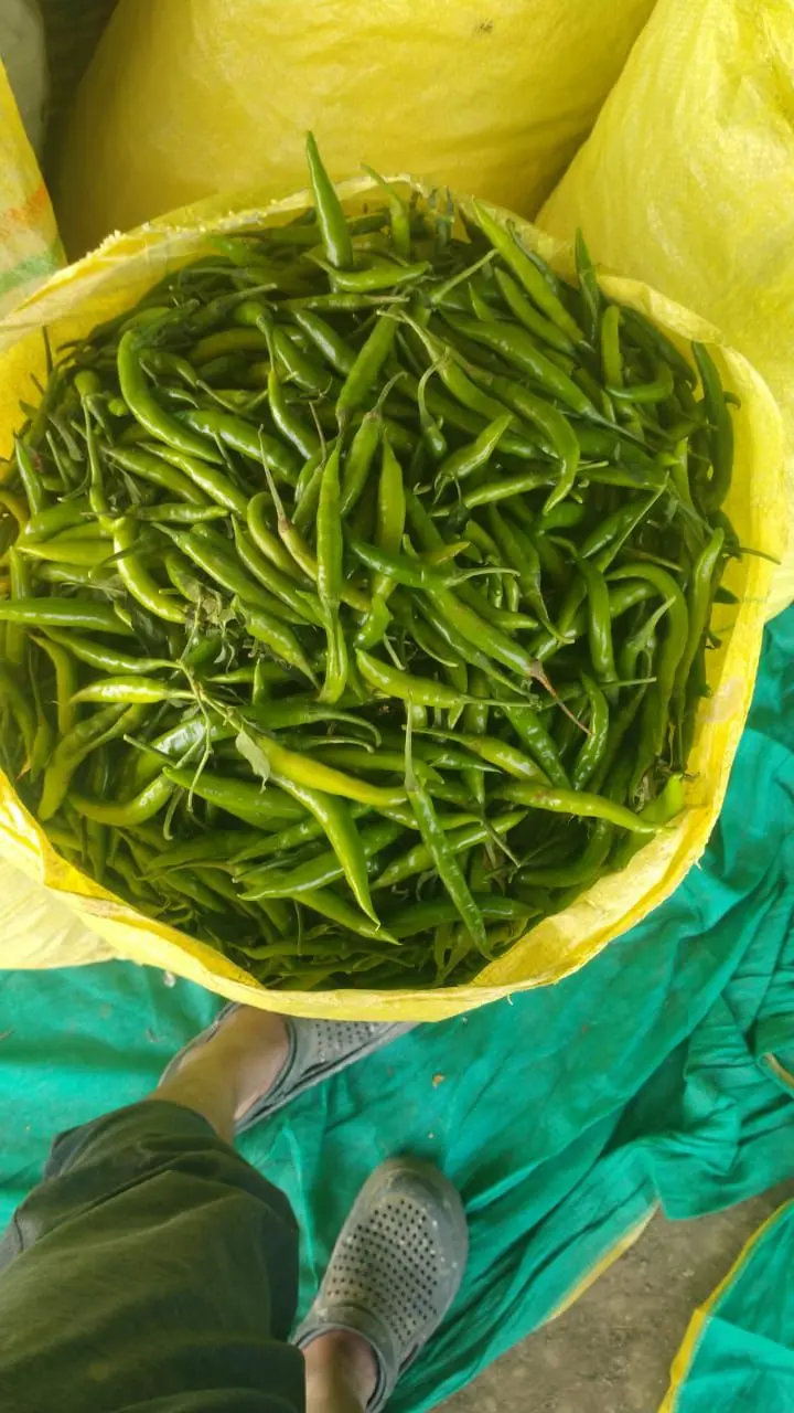 Green Chili